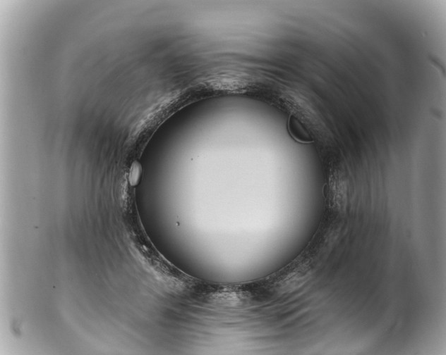 X0000101230404200807071417