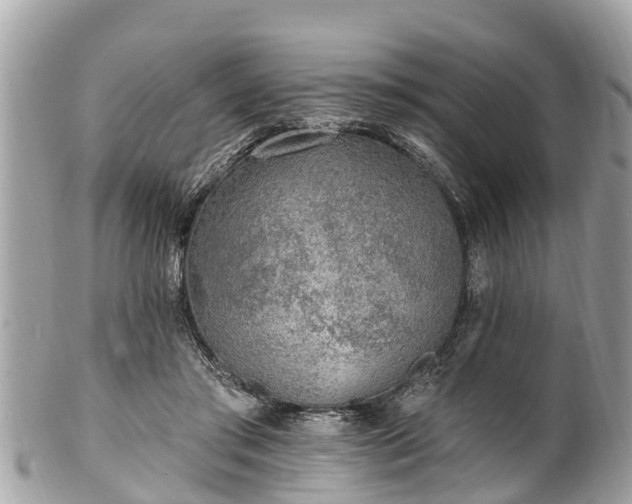 X0000101230405200807071417