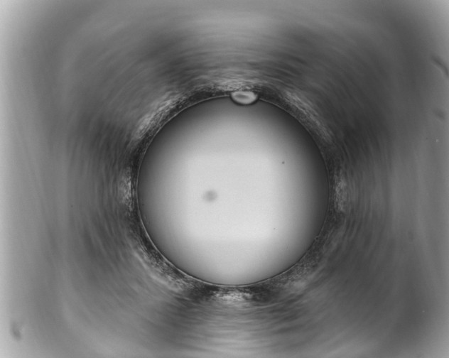 X0000101230407200807071417