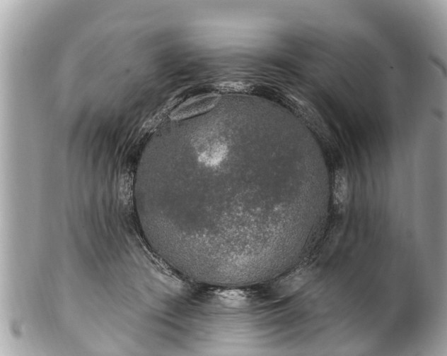 X0000101230409200807071417