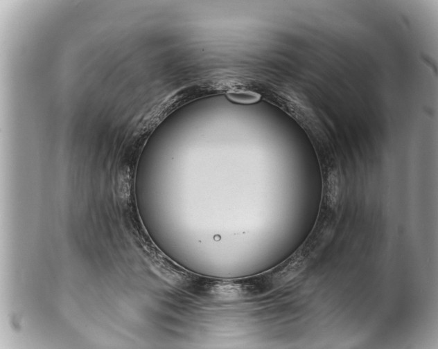 X0000101230413200807071417