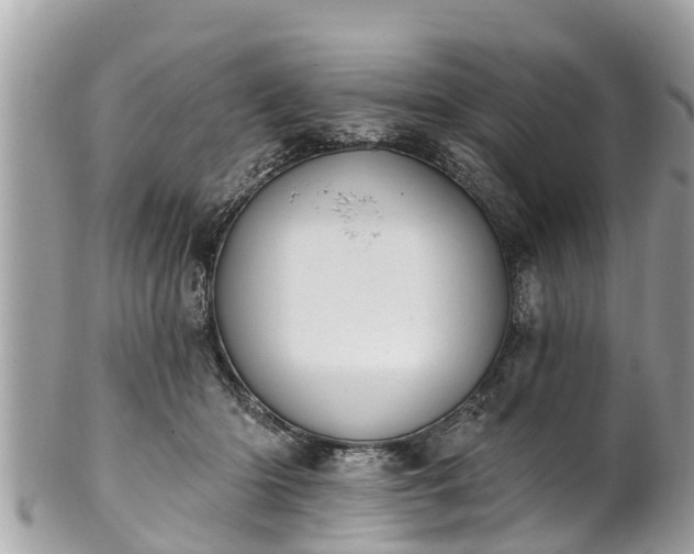 X0000101230414200807071417