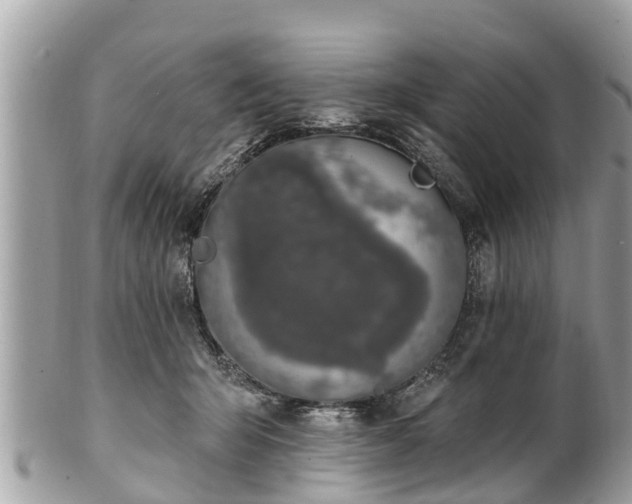 X0000101230415200807071417