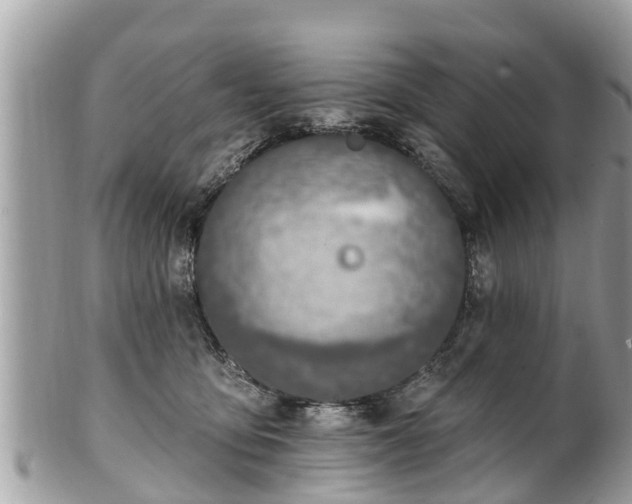 X0000101230419200807071417