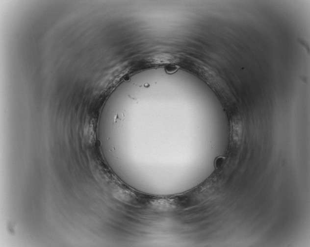 X0000101230422200807071417