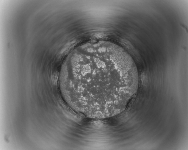 X0000101230423200807071417