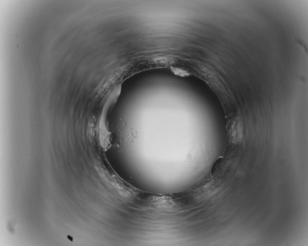 X0000101230424200807071417