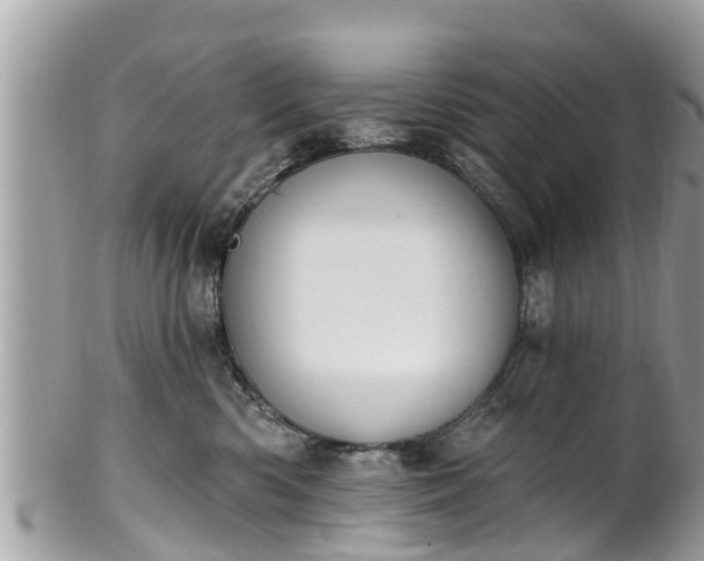 X0000101230426200807071416