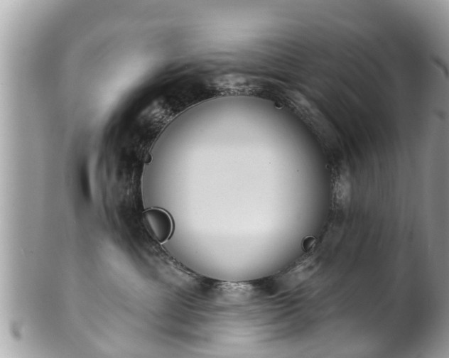 X0000101230429200807071416