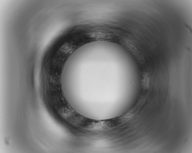 X0000101230430200807071416