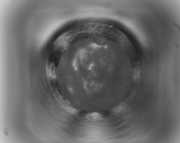 X0000101230431200807071416