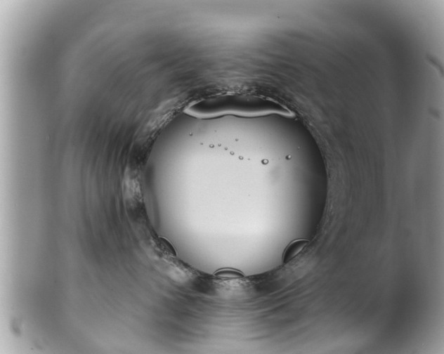 X0000101230432200807071416