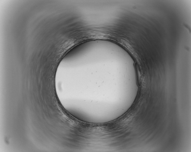 X0000101230433200807071415