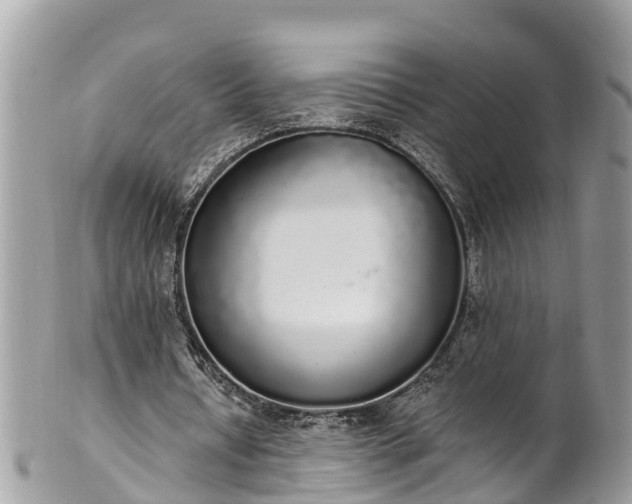 X0000101230434200807071415