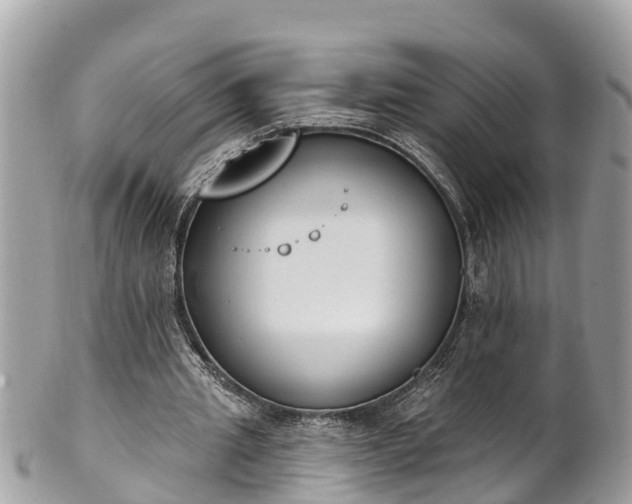 X0000101230437200807071416