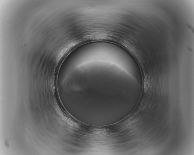 X0000101230438200807071416