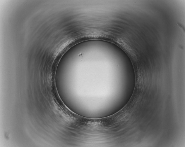 X0000101230440200807071416