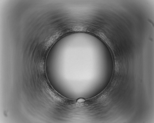 X0000101230441200807071416