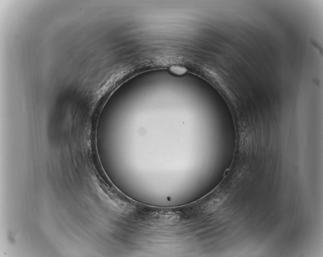 X0000101230443200807071416