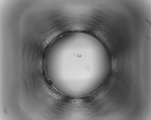 X0000101230444200807071416