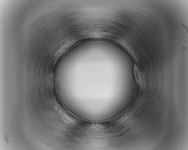 X0000101230445200807071416