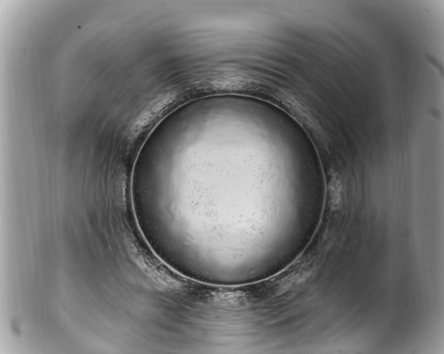 X0000101230446200807071416