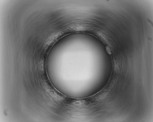 X0000101230447200807071416