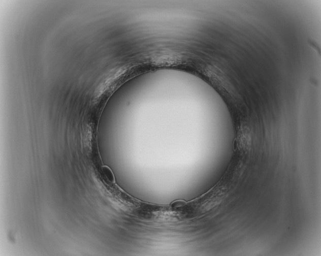 X0000101230448200807071416