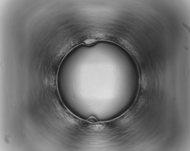 X0000101230449200807071416