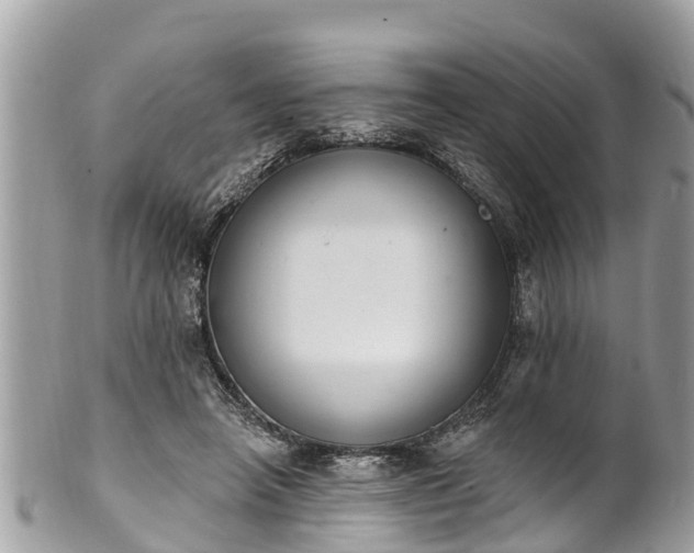 X0000101230450200807071416