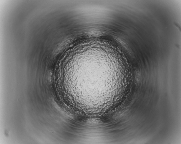 X0000101230451200807071416