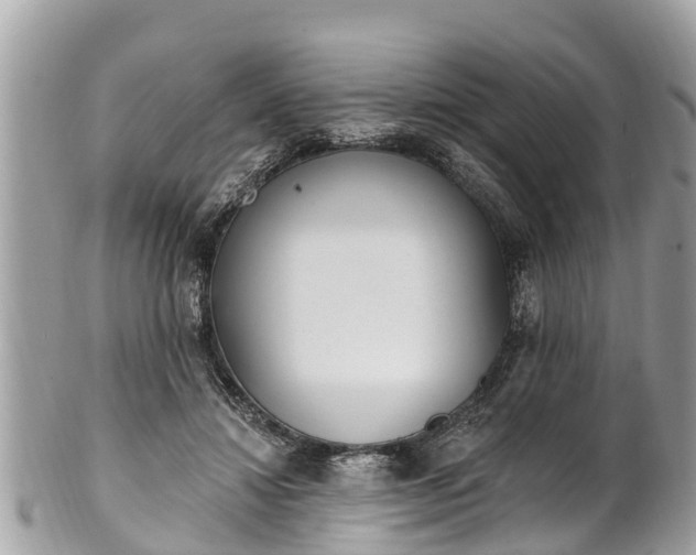 X0000101230452200807071416