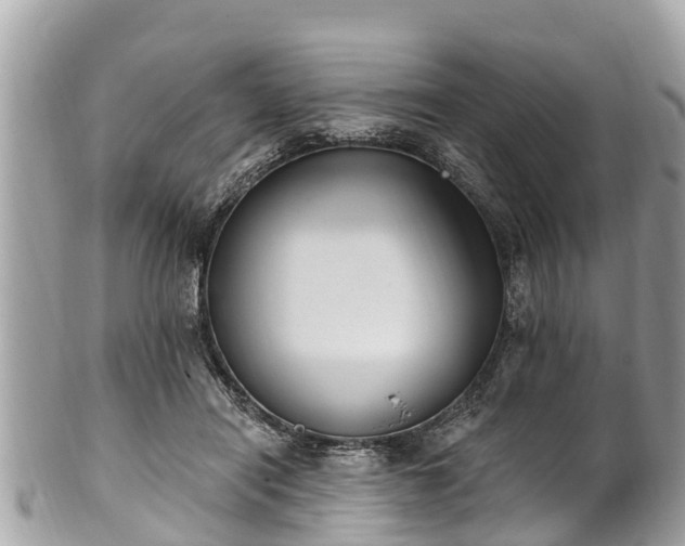 X0000101230454200807071416