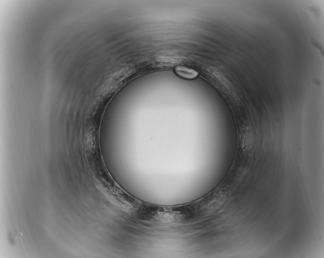 X0000101230455200807071416