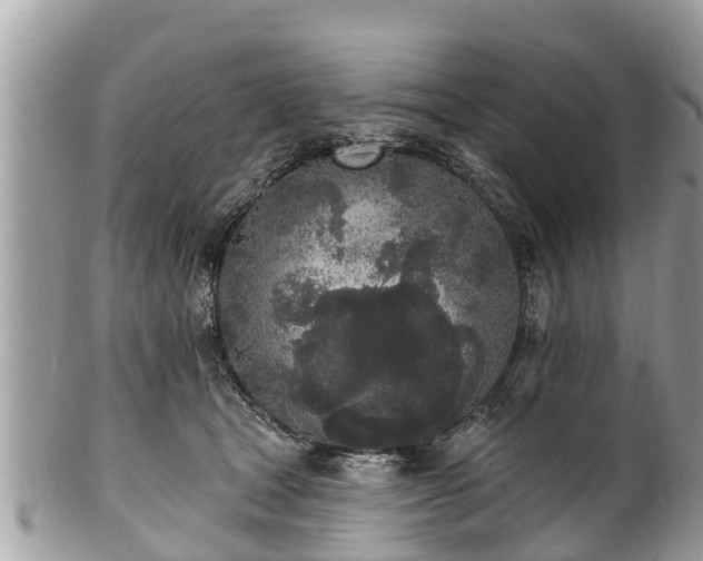 X0000101230465200807071416