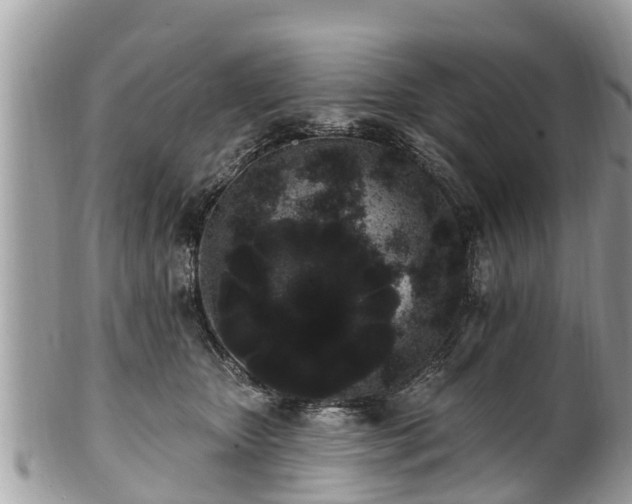 X0000101230467200807071416