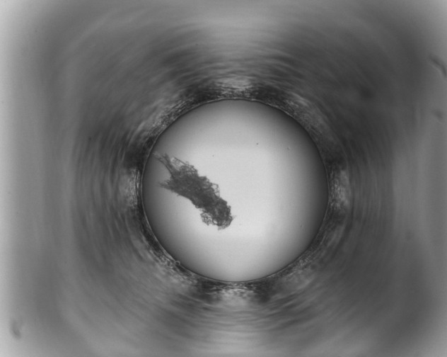 X0000101230468200807071416