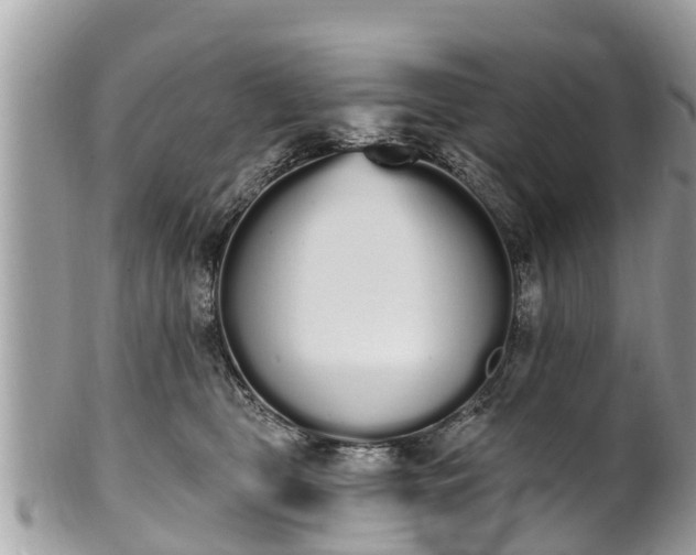 X0000101230469200807071416