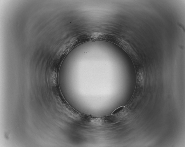 X0000101230470200807071416