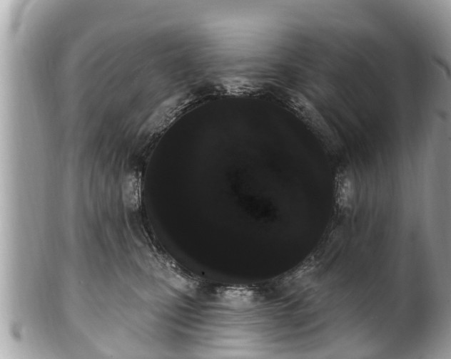 X0000101230471200807071416