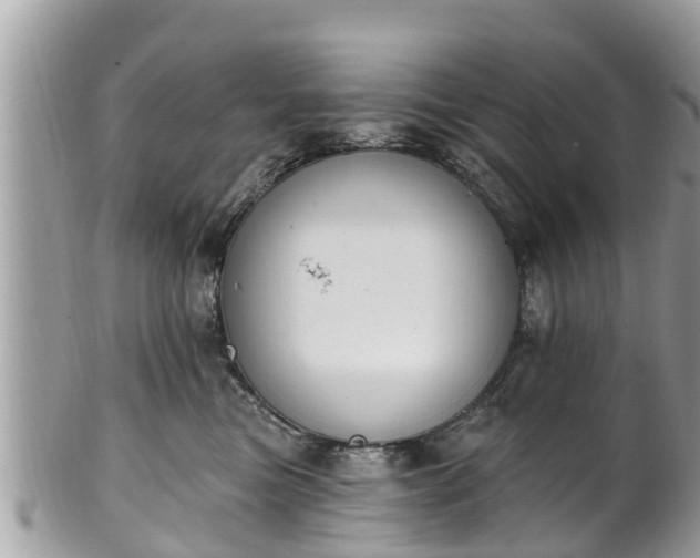 X0000101230473200807071416