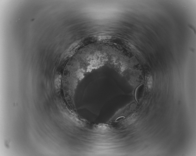 X0000101230475200807071416