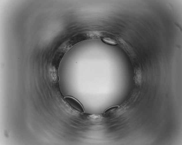 X0000101230477200807071416