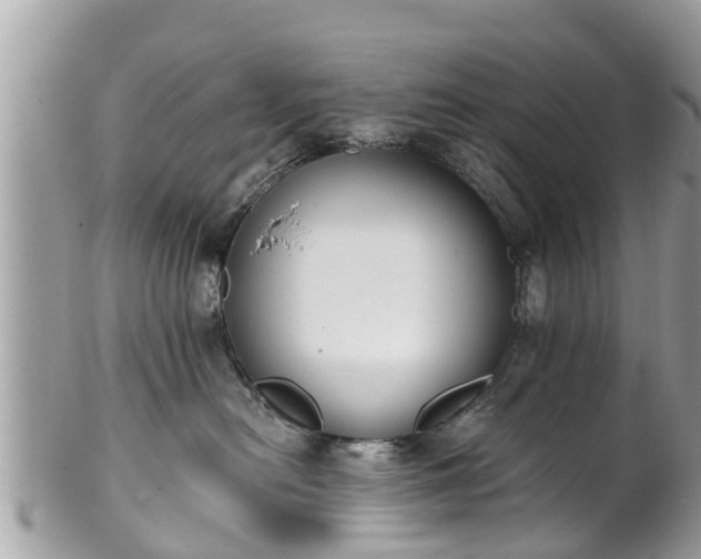 X0000101230478200807071416