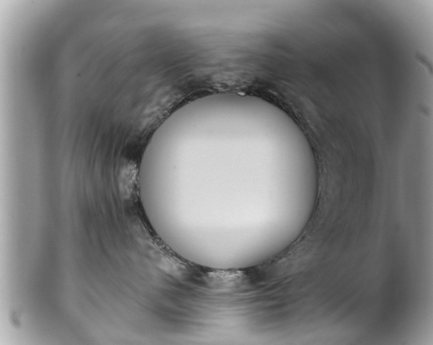 X0000101230480200807071416