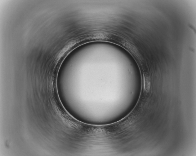 X0000101230483200807071415