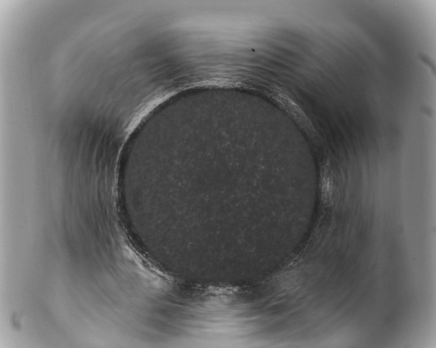 X0000101230484200807071415