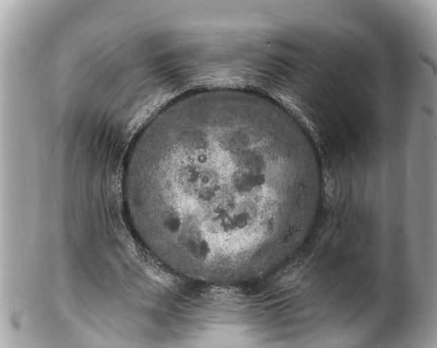 X0000101230487200807071415