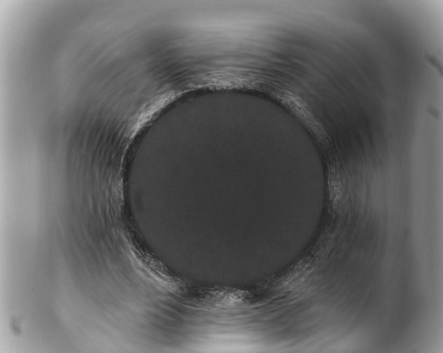 X0000101230488200807071415