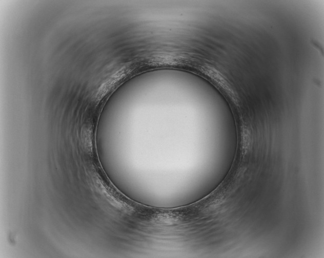 X0000101230489200807071415